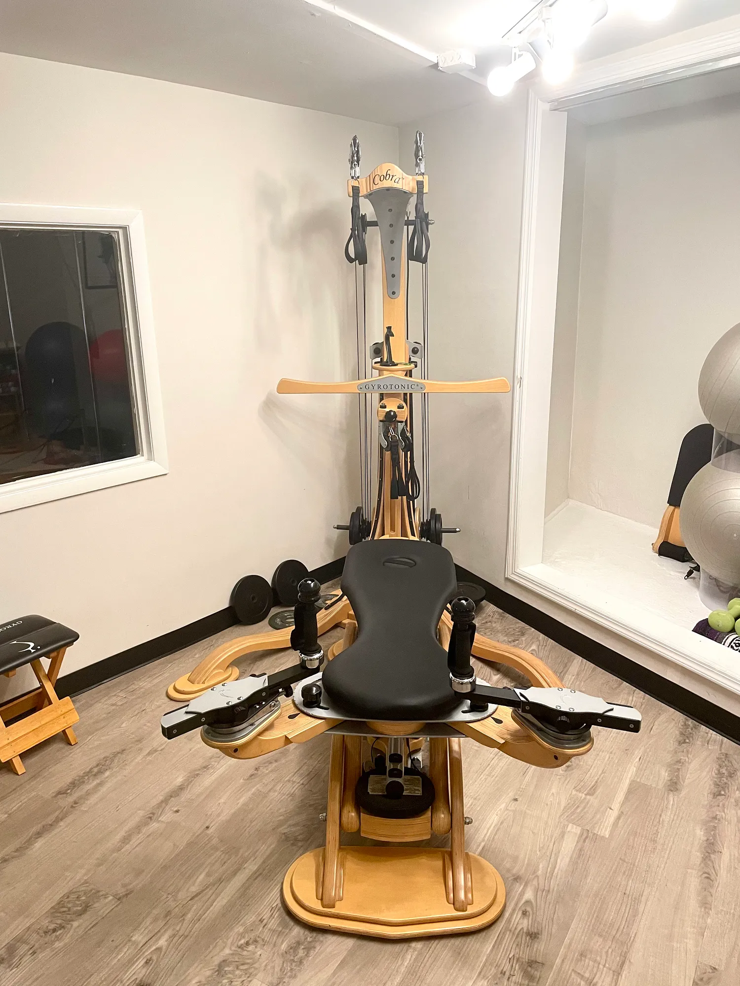 GYROTONIC® 1 GYROTONIC® Equipment